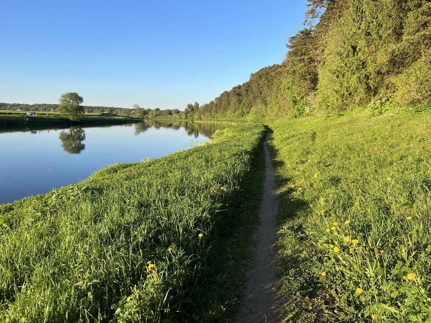 img-0115.jpg