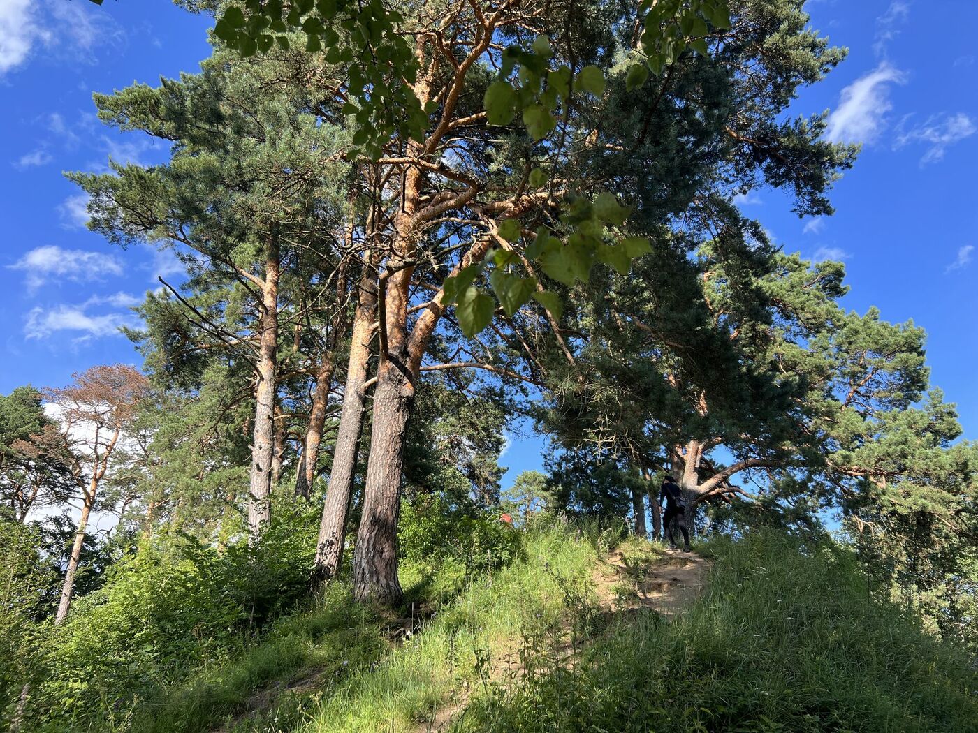 img-0971.jpg