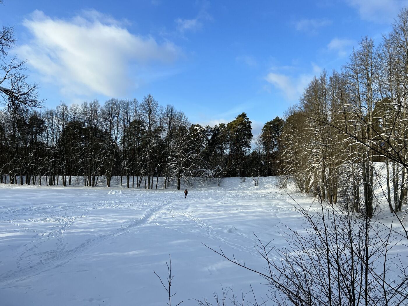 img-1344.jpg