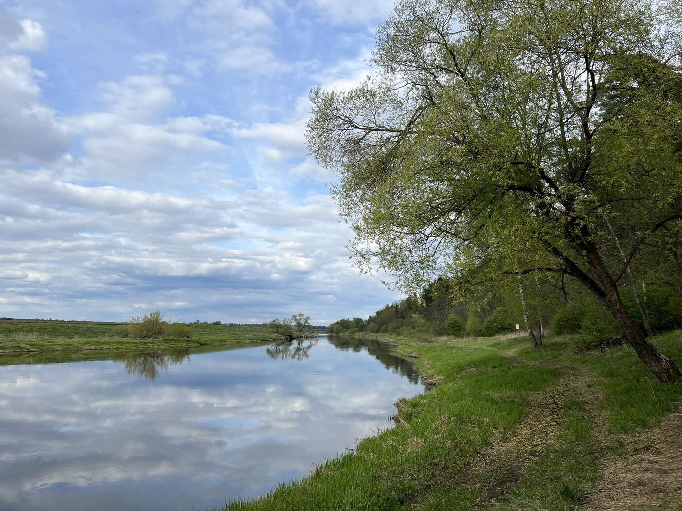 img-6815.jpg