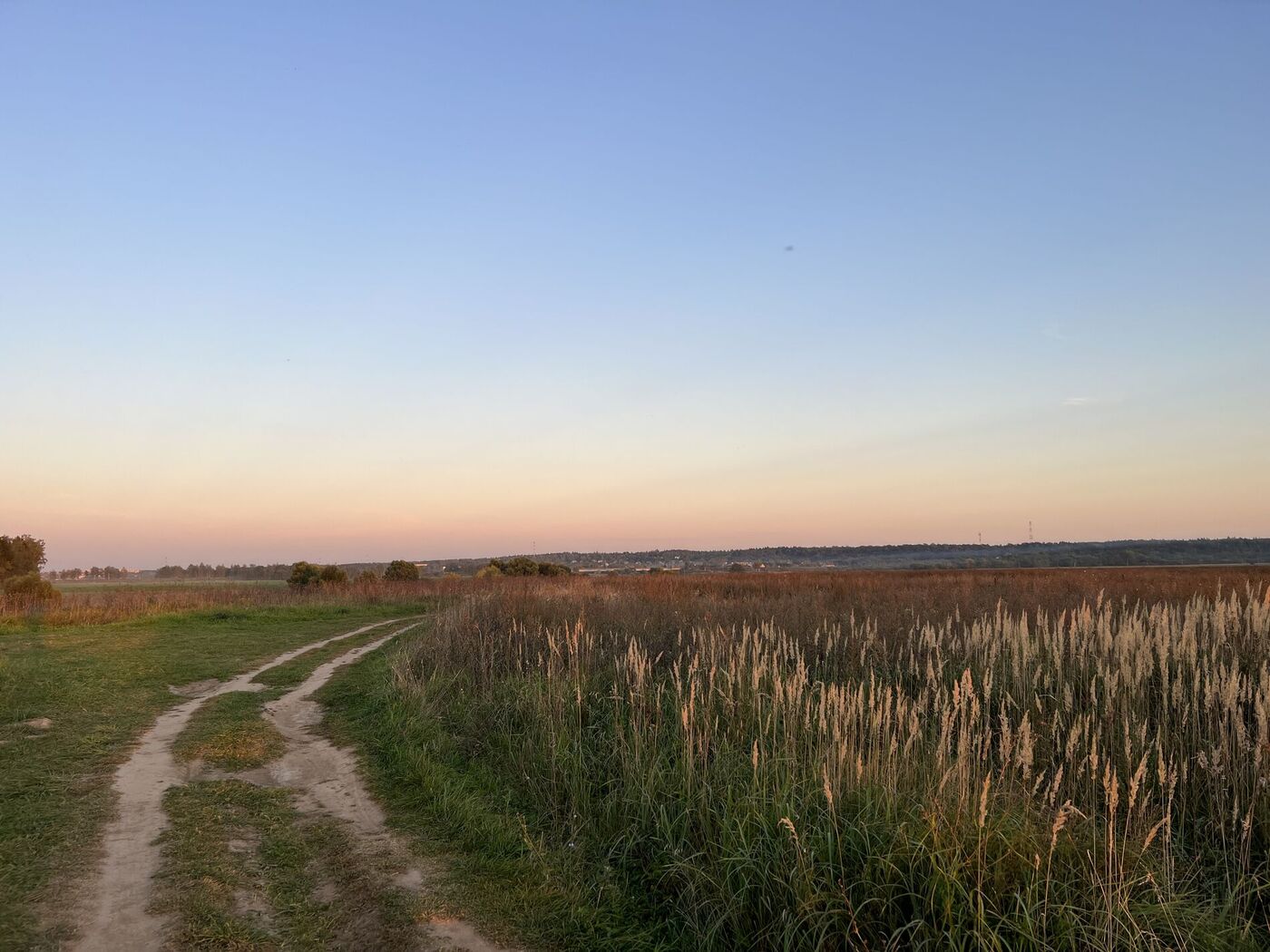 img-6889.jpg