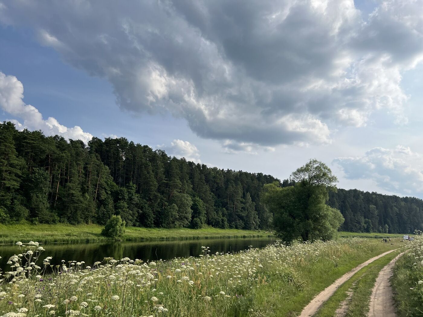 img-9931.jpg
